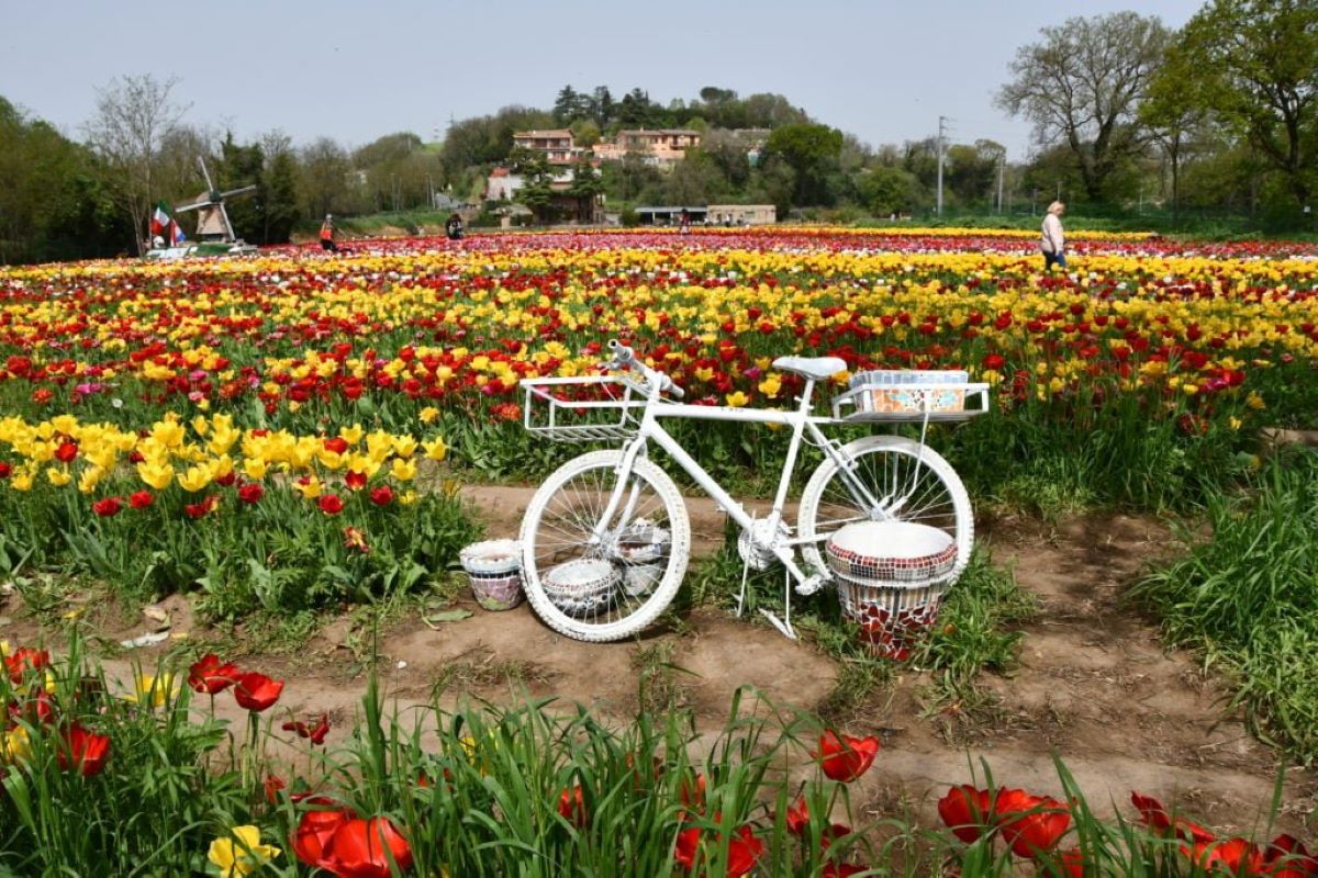 Tulipark 2024 a Roma